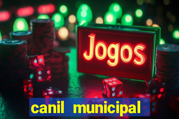 canil municipal porto alegre